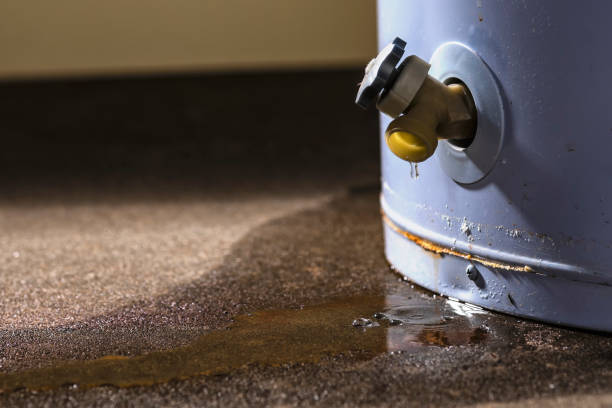 Best Water damage restoration cost  in Rosend, LA