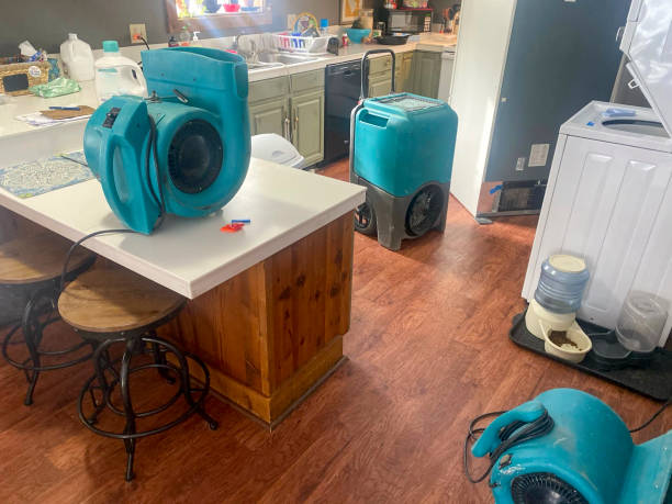 Best Water damage cleanup near me  in Rosend, LA