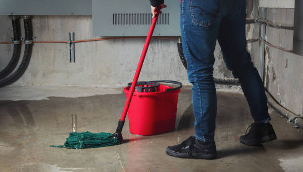 Best 24-hour water damage restoration  in Rosend, LA