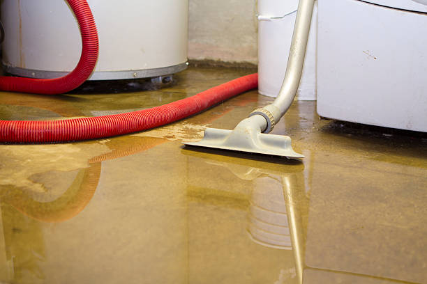 Best Local water damage restoration  in Rosend, LA