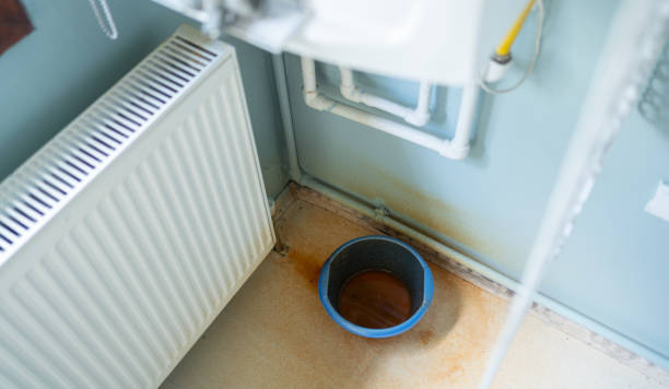 Best Flood damage cleanup  in Rosend, LA