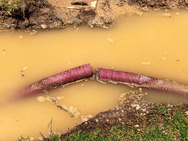Best Emergency water damage restoration  in Rosend, LA