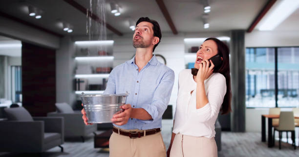 Best Water damage contractors near me  in Rosend, LA