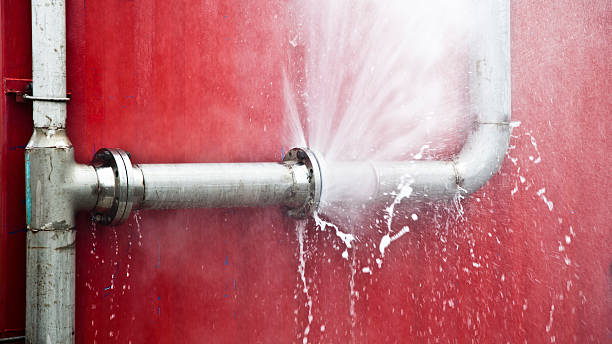 Best Fire Damage Restoration  in Rosend, LA